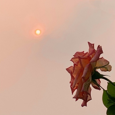 

<p>情话是我抄的，但只说给你听是真的。</p>