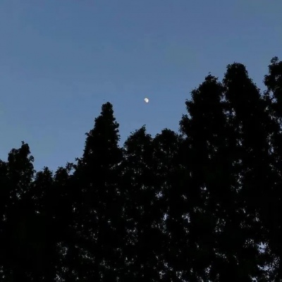 

现实当中，累得精疲力尽的人们只是在这些建筑物的缝隙之间匍匐打转地苟且偷生而已。而我，也只是其中的一个。