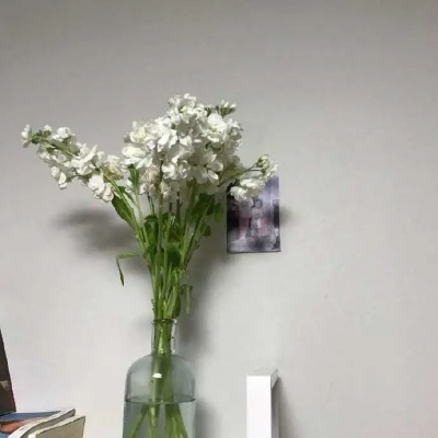 无可取代的东西要到失去后才知道珍惜呢。