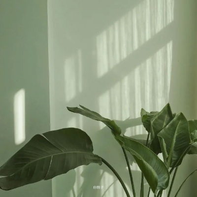 <p>把手拿开，想传染笨蛋菌给我吗，笨蛋……</p>