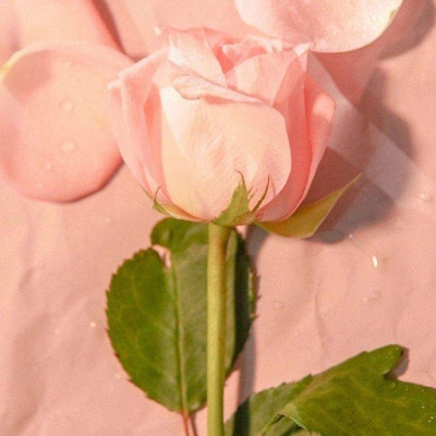 <p>感觉自己是个废物，朋友说要自信一点，把感觉去掉。</p>