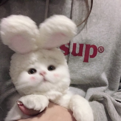 <p>我之所以，把自己吃的这么圆，就是为了不让别人看扁。</p>