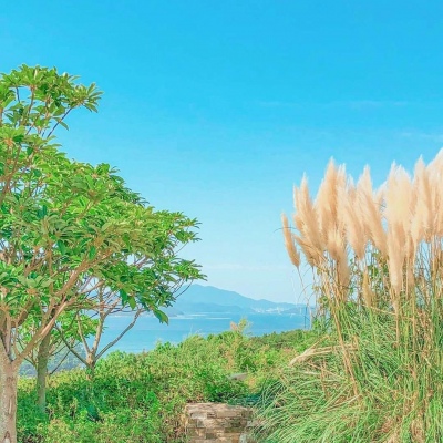 <p>这次期末考，我会用实力告诉你，我们年级共有多少人。</p>