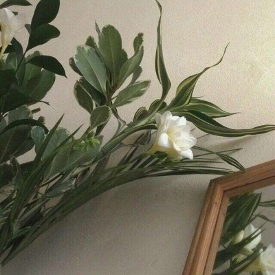 

<p>再强的敌人在最后一集的主角面前也是渣渣。</p>