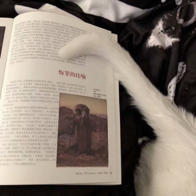 <p>没有人会突然不爱你，只是你突然发现罢了 ​​​。</p>