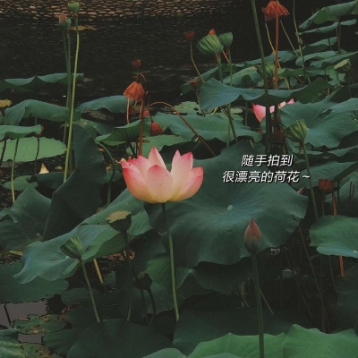 <p>新闻联播的牛X之处在于就算你一直在换台，也能完整的看完一条新闻。</p>