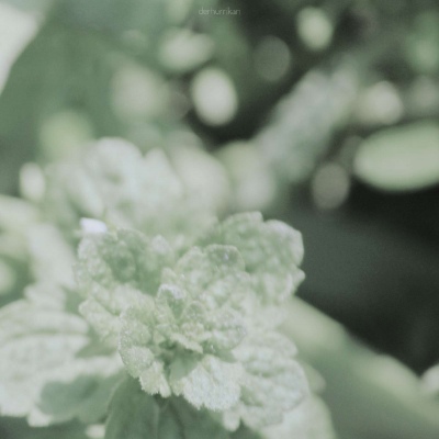 <p>卸妆对你来说，又叫洗钱。</p>