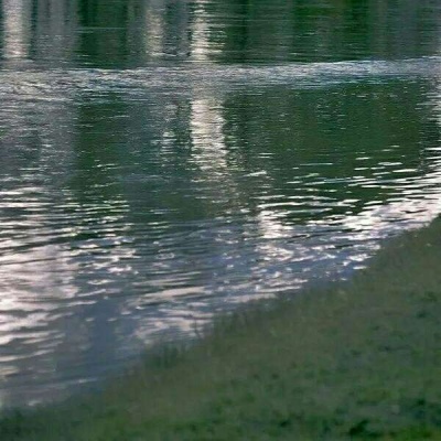 <p>瘦是饿出来的，懂事是没人疼出来的.</p>