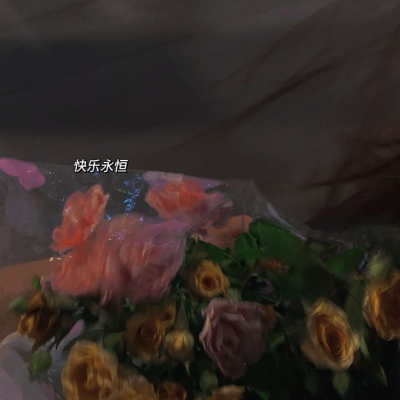 <p>当有人从心底认同你的时候，那个人对你来说就是最重要的人。</p>