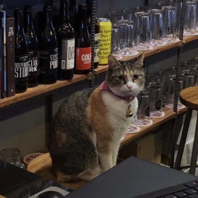 <p>只有狡猾之人才能生存的世界才让人觉得可悲...正直，坦率，努力...这并非是愚蠢。</p>