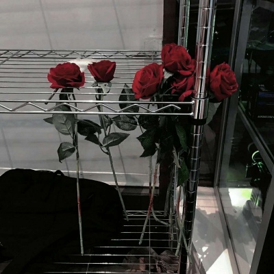 <p>我也非常喜欢……烟火</p>