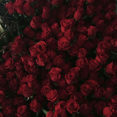 

<p>傻瓜，有什么好道歉的呢，我又没打算原谅你。</p>