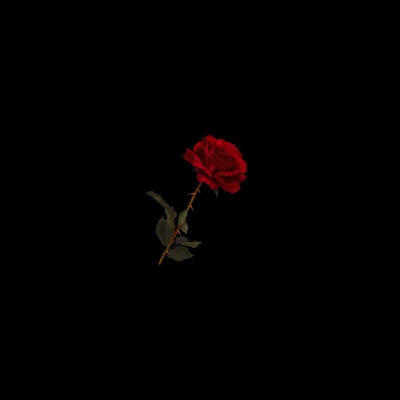 曲高未必人不识，自有知音和清词。