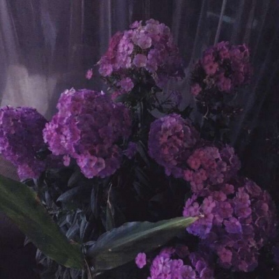 挚友的执念烙印此身，无尽的黑暗化为光明，天上天下，一骑当神！