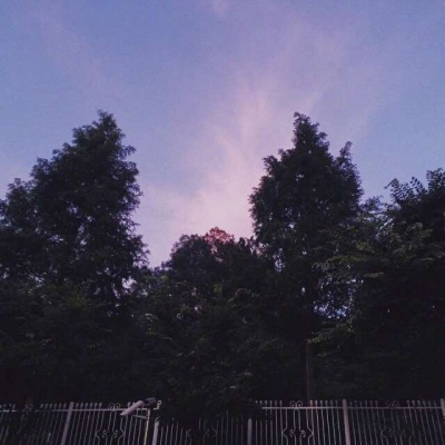 

我之所以，把自己吃的这么圆，就是为了不让别人看扁。