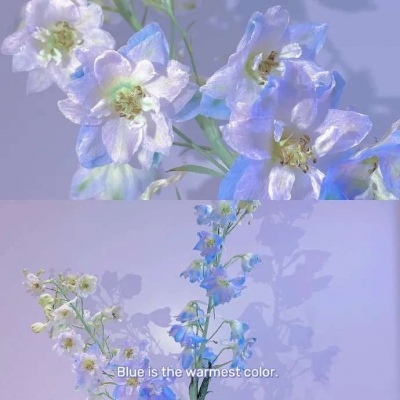 <p>生活就像超级女生，走到最后的都是纯爷们。——网络</p>