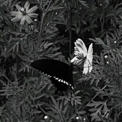 生生生生暗生始，死死死死冥死终。