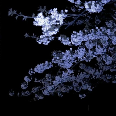 <p>生活就像超级女生，走到最后的都是纯爷们。——网络</p>