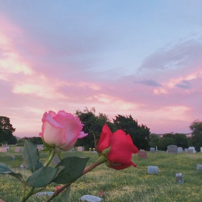 <p>我也不懂，我怎么会，如此的在意。</p>
