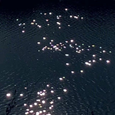 <p>不想撩妹只想撩你</p>