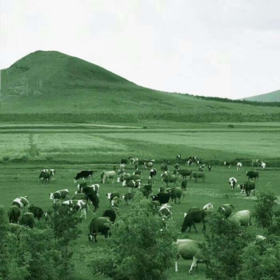 人生若只如初见，何事秋风悲画扇。