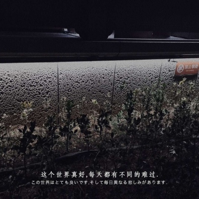 <p>坚强不是结果，是朝某个目标努力的过程！</p>