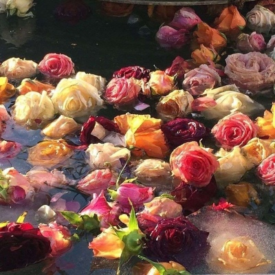<p>数亿的资产给你可好</p>