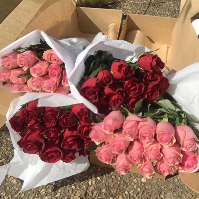 

<p>花心处</p>