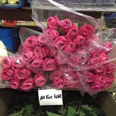 <p>笑是对身边的事物感到一瞬间的幸福而表现出来的东西。</p>