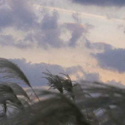<p>没人嘲笑你的梦想，他们只是嘲笑你的实力。</p>