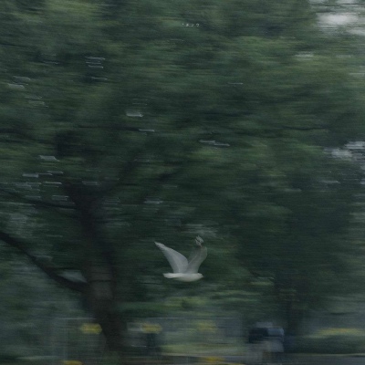 <p>跟好朋友好到什么程度？就是他进传销，发展的第一个下线就是我。</p>