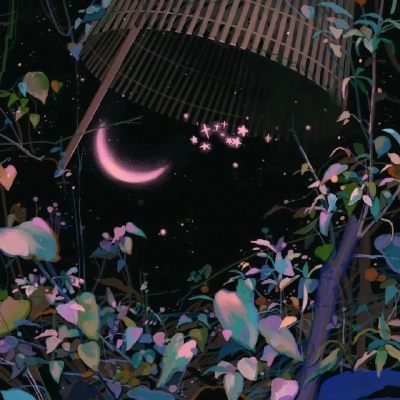 花有重开日，人无再少年。
