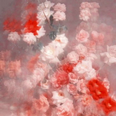 

<p>我的娴熟，除了面对孤独，还有ai上你的技术。</p>