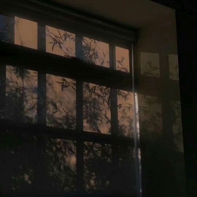<p>足吾所好，玩而老焉——欧阳修</p>