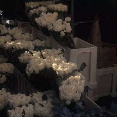 <p>答应我，无论如何，你一定要比我长寿，我不要再一个人孤零零的活在这个世上。</p>