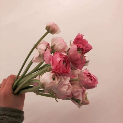<p>你就是一个行走的黄色网站，而我就是会员</p>