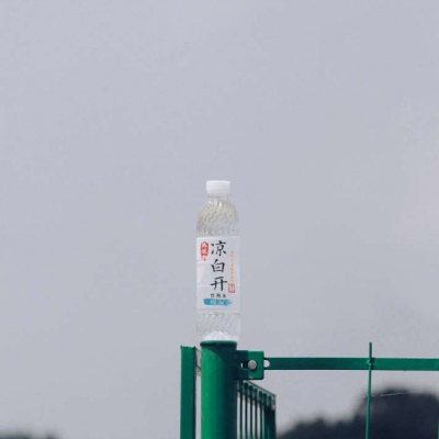 我们的学生会长，比高达还强。