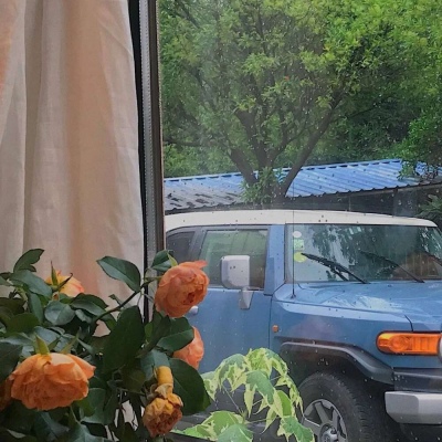<p>朋友之交，宜得删繁就简。——白鹿原</p>