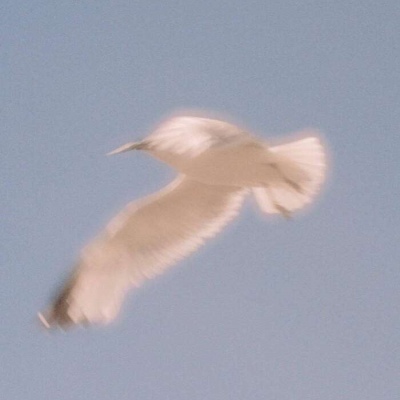 <p>我已经不想再失去什么了,所以,我不会再战斗了。</p>