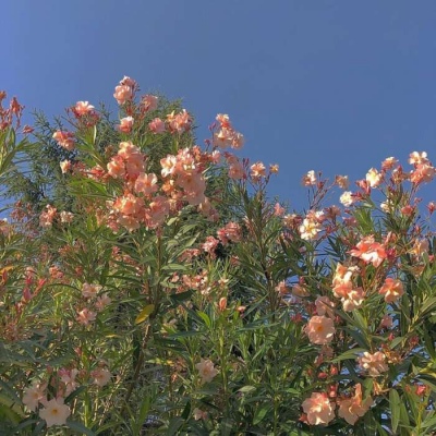 <p>朋友说借二十块钱回头给你，借完钱之后我才知道，有些人一转身就是一辈子。</p>