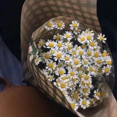 <p>不过傲慢分为两种。一种是能力过于低下，还有一种是志向异常远大的。</p>