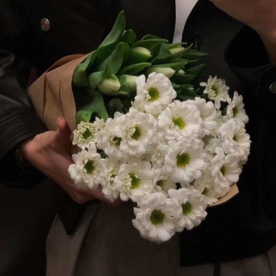 <p>想不被别人踩在脚下有两种途径：变更强，变成翔。</p>