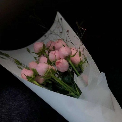 <p>一花凋零荒芜不了整个春天，一次挫折也荒废不了整个人生。</p>