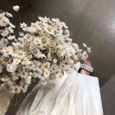 <p>你支起帐篷，带我看云翻云涌我湿润花朵，领你观潮起潮落</p>
