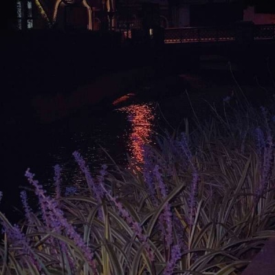 <p>假装自由，受困于自由，被自由所左右，只不过是逞强而已。</p>