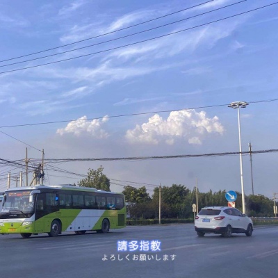 <p>我喜欢樱花，可不知为什么，凋零时反而会有如释重负的感觉。</p>