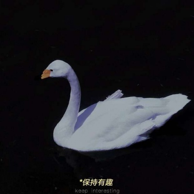 <p>假装自由，受困于自由，被自由所左右，只不过是逞强而已。</p>