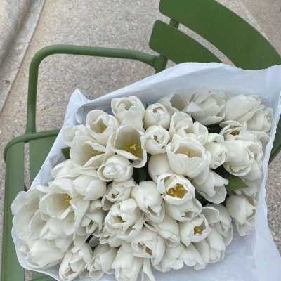 <p>世界上除了父母，对你最真心的就只有骗子，他是真心的想骗你。</p>