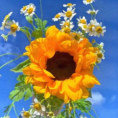 <p>汝为有缘人，亦我所爱之人。</p>