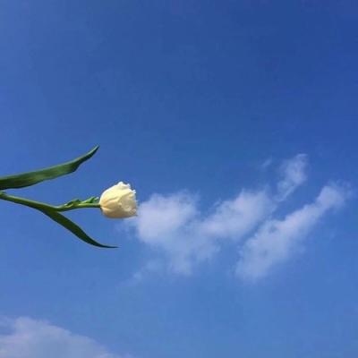 <p>暖男燃烧完所有的暖，就成了渣男。</p>